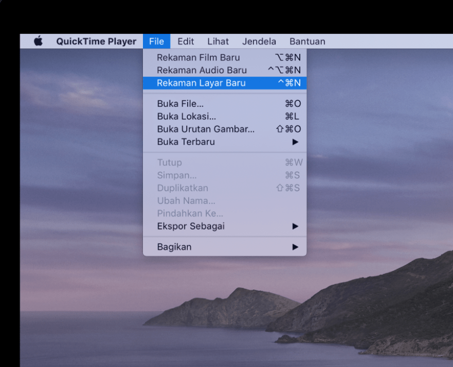 download quicktime 7.3 for mac